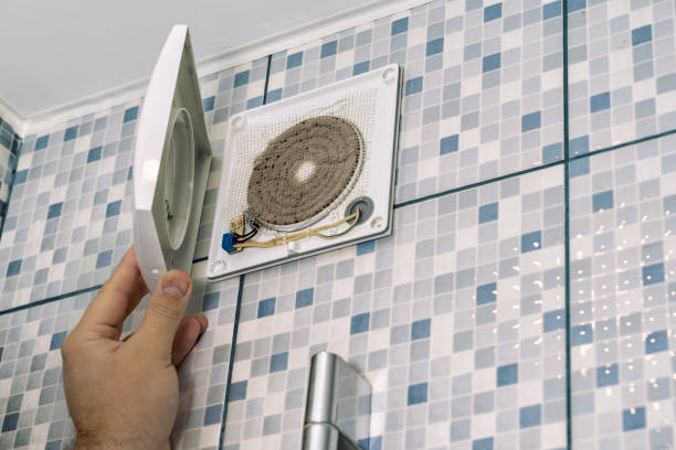 Best Ductwork Cleaning Services  in Locust Fork, AL