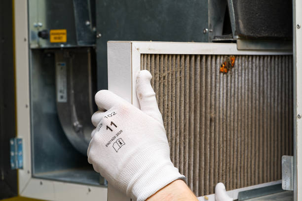 Best Air Duct Cleaning Near Me  in Locust Fork, AL