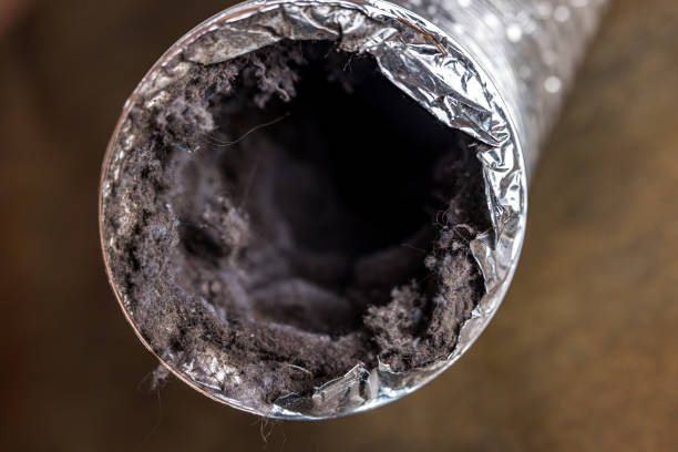 Best Professional Duct Cleaning Services  in Locust Fork, AL