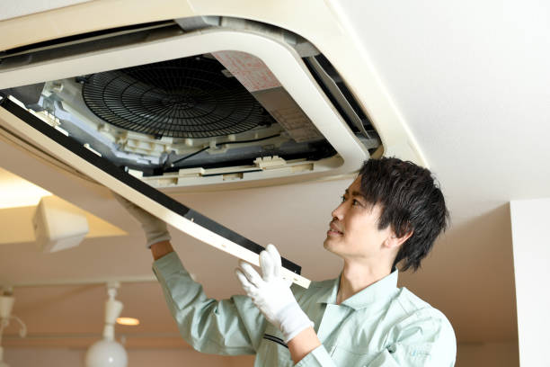 Best Affordable Air Duct Cleaning  in Locust Fork, AL