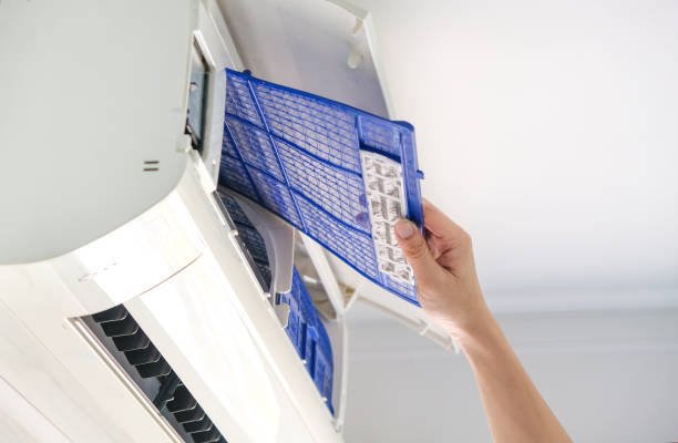 Best Local Air Duct Cleaning Services  in Locust Fork, AL