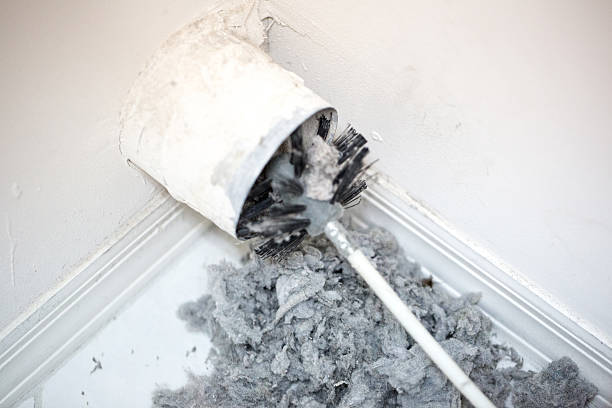 Air Duct Mold Removal in Locust Fork, AL